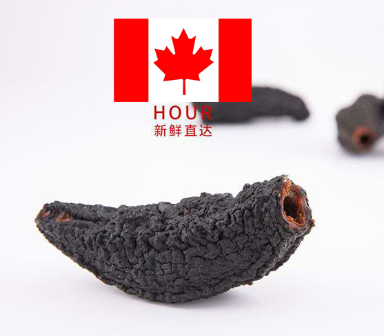 【推荐】加拿大自然优选红...